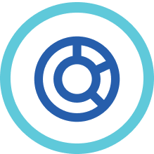 Segmented circle icon